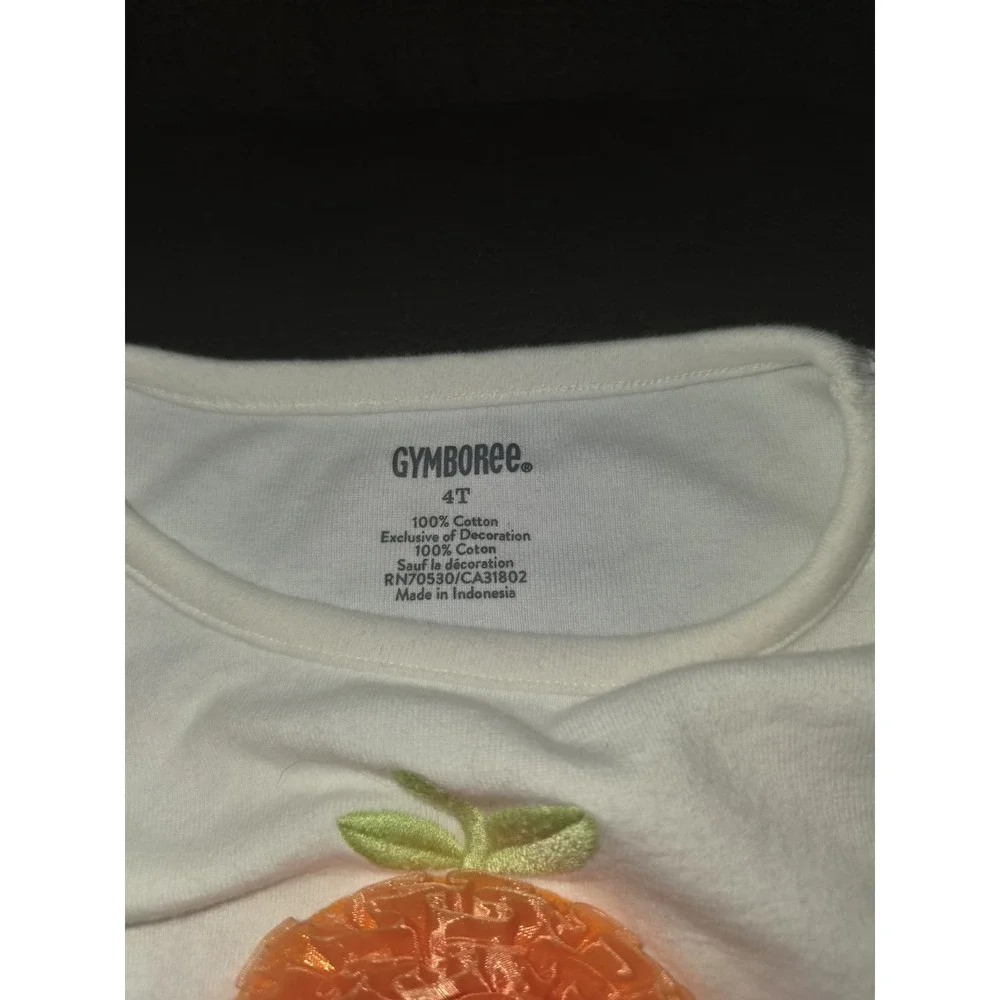 Gymboree fall autumn Halloween pumpkin top and leggings size 4t